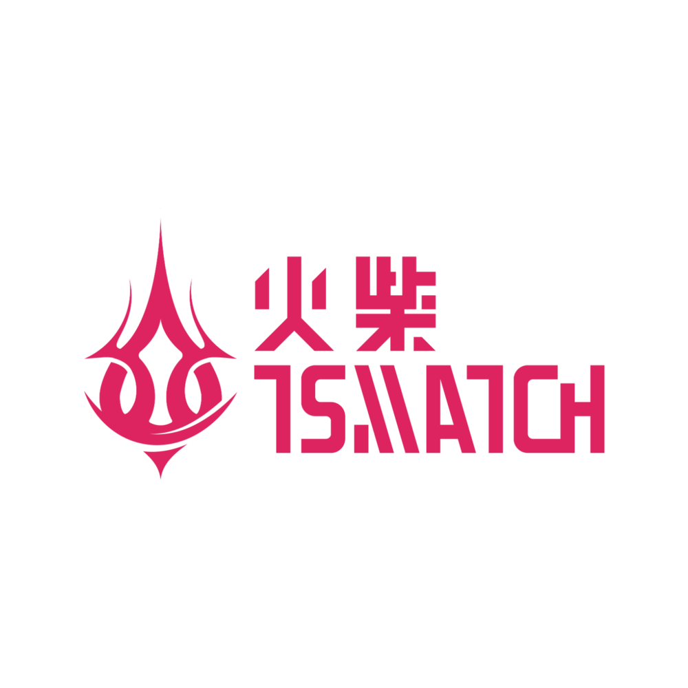 火柴 TSMATCH